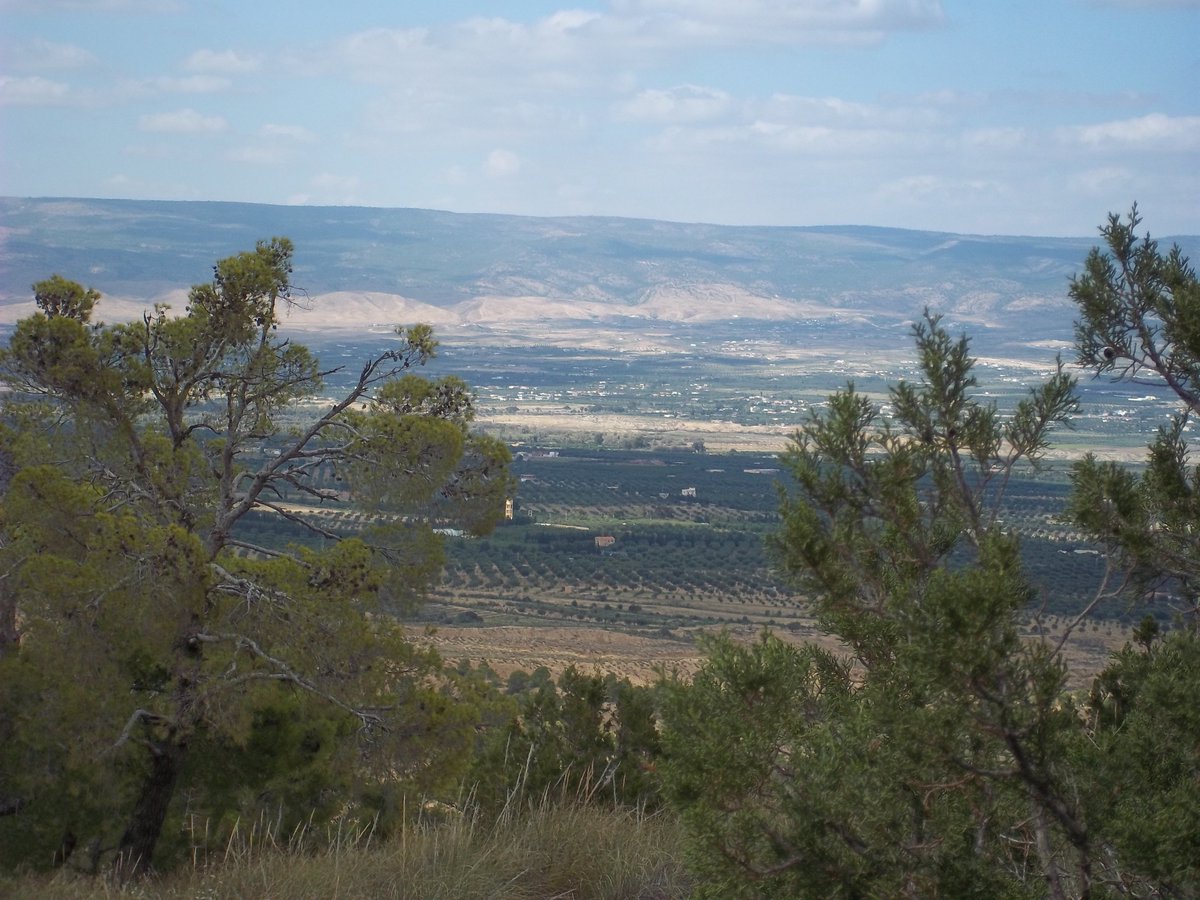 SmidaSamali's tweet image. 