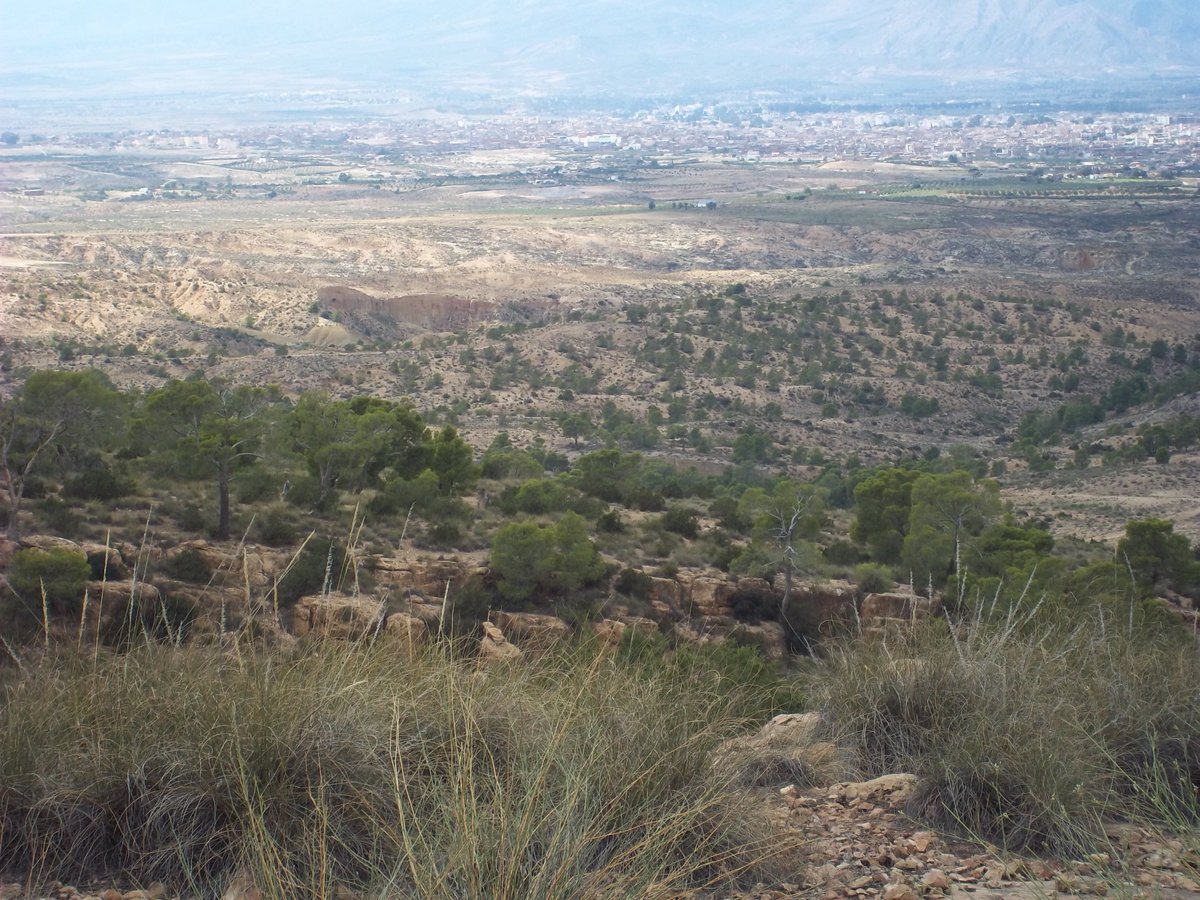 SmidaSamali's tweet image. 