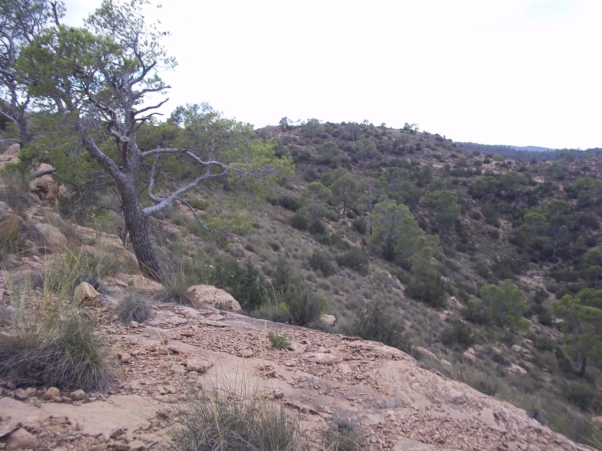 SmidaSamali's tweet image. 