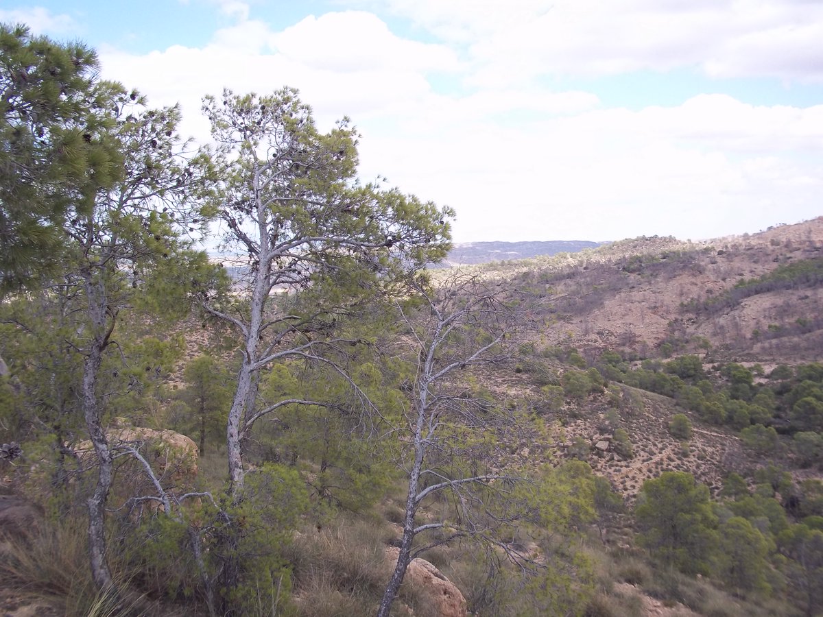 SmidaSamali's tweet image. 