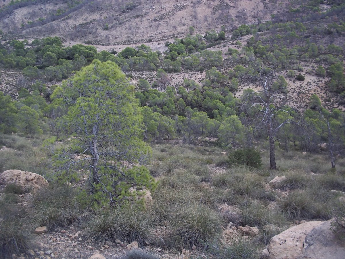 SmidaSamali's tweet image. 