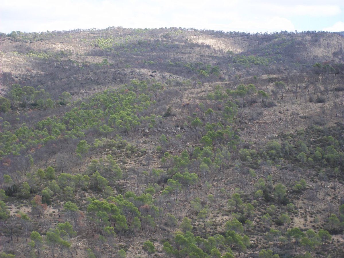 SmidaSamali's tweet image. 