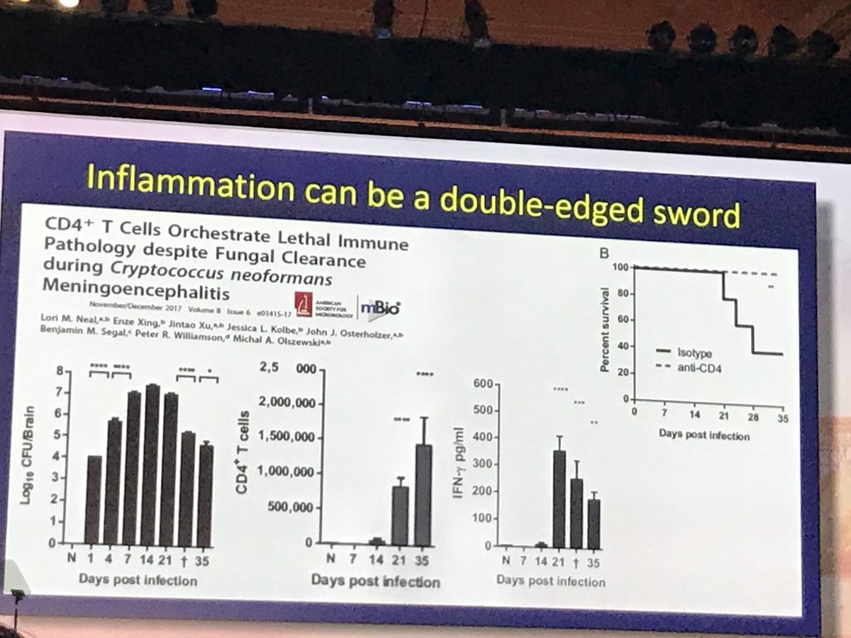 SAIRABT's tweet image. #cryptococcal #meningitis #IDWeek2018