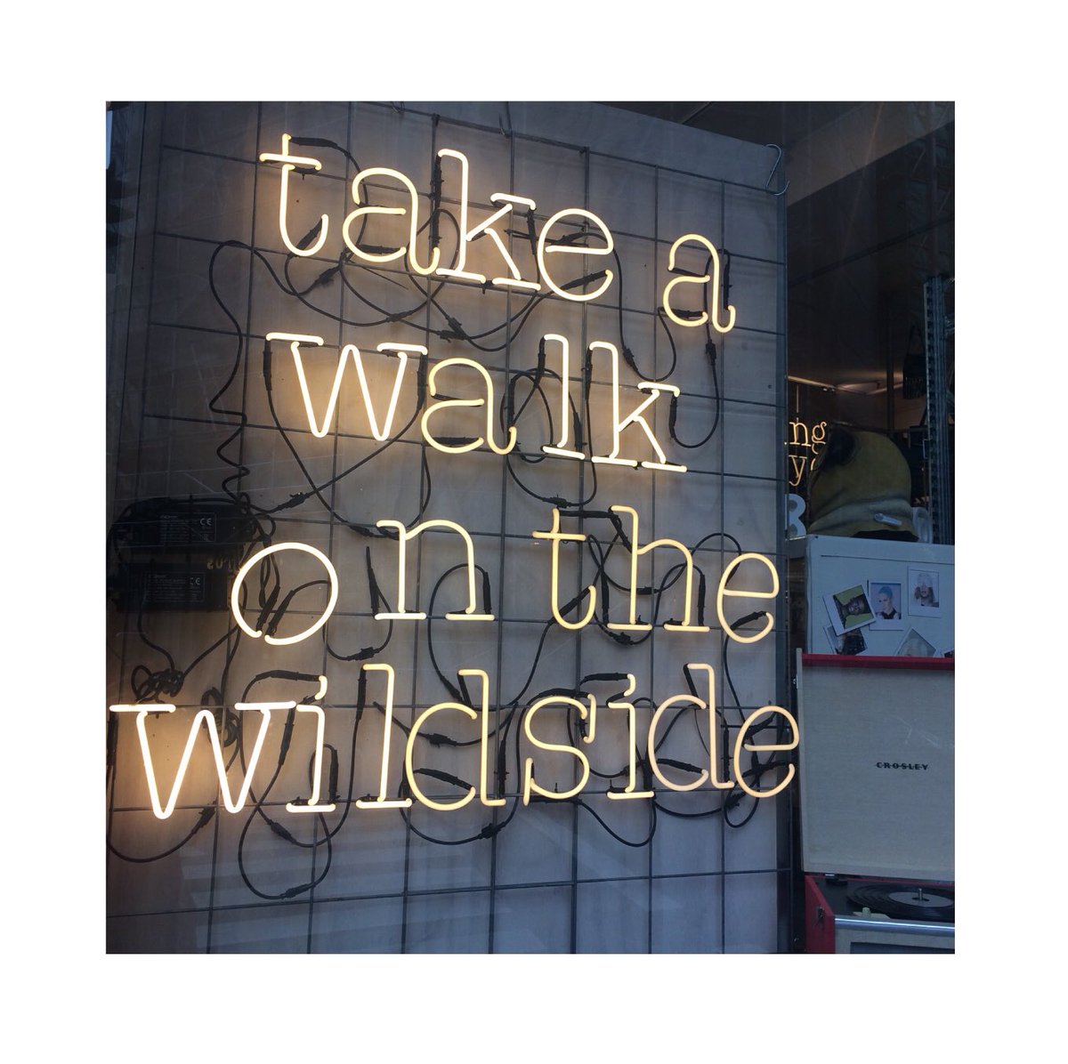 be right there #stsblue #showusyourwildside