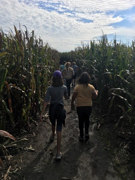 OneGoalin5th's tweet photo. We had a GREAT time at Richardson's Farm today on our field trip! Perfect weather, conquered the maze, and even got to bring home our own pumpkins! @RobertCS118 #rcs118life #d118life #tonsofsmiles #fallishere #makingmemories https://t.co/CPeuGy6LOs