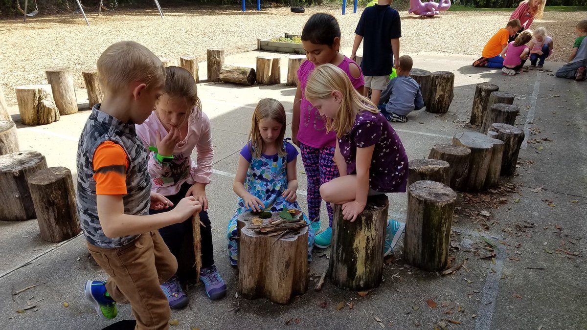 LisaSchreur's tweet image. 2nd graders have fun sorting outdoor objects based on their properties. #sandyviewkidssoar