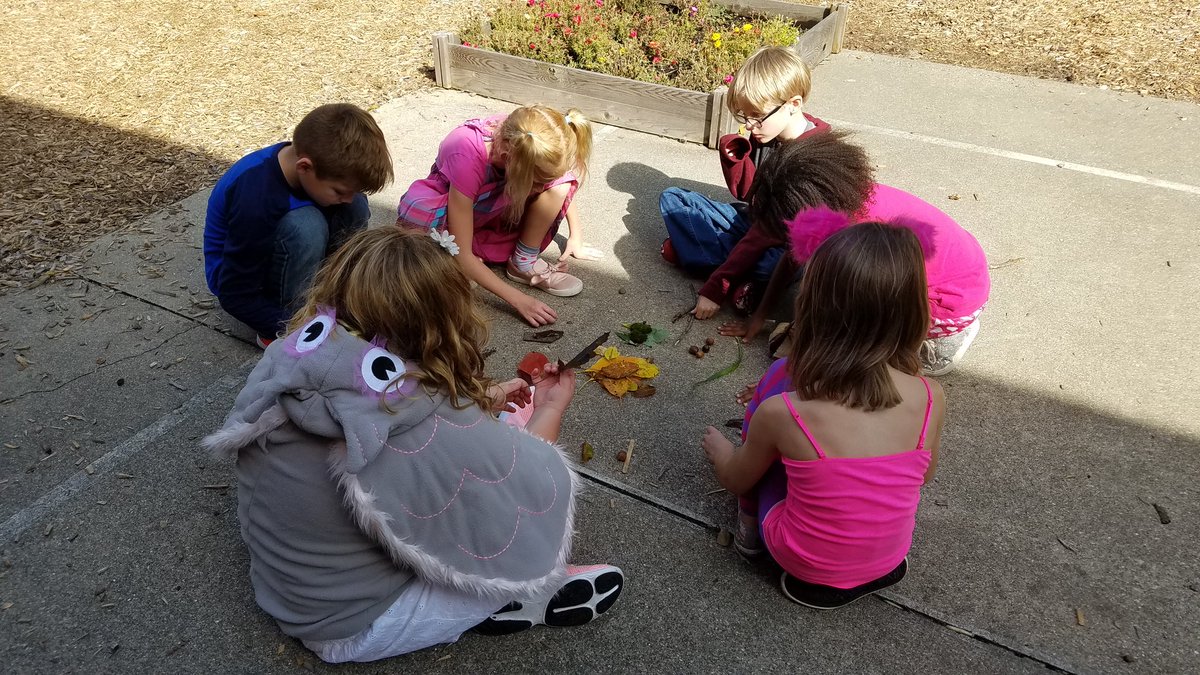 LisaSchreur's tweet image. 2nd graders have fun sorting outdoor objects based on their properties. #sandyviewkidssoar