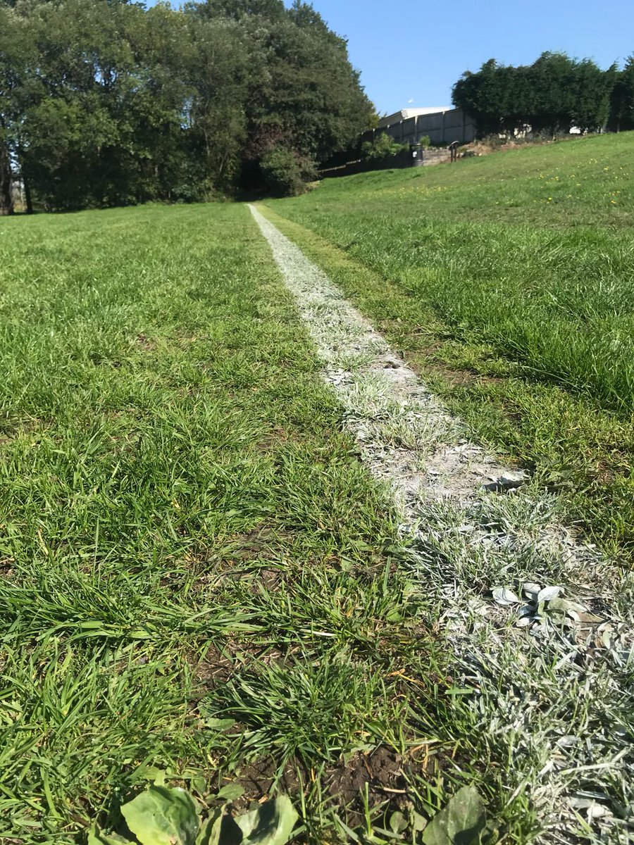 The pitch is looking good as the First Team get ready to welcome <a href="/LlangwmAFC/">Llangwm AFC</a> to Coed Bach Park on Saturday for our first home game of the season in the 1st round of the West Wales Cup. 

The match is sponsored by <a href="/BenRobs29/">Ben Roberts</a> 

Get down and support the boys. 
#COTB #LetTheBoysPlay