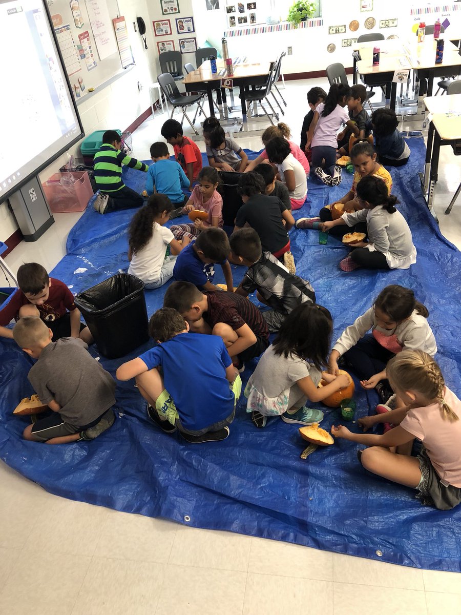Kbarone04's tweet photo. Thank you @TheFarmerSays for donating 10 pumpkins for my class to count to 120. The kids had a great time digging in the pumpkins and counting the seeds by 2’s, 5’s, 10’s. @MadisonsTrust16 . https://t.co/gvGUrTRQ0D