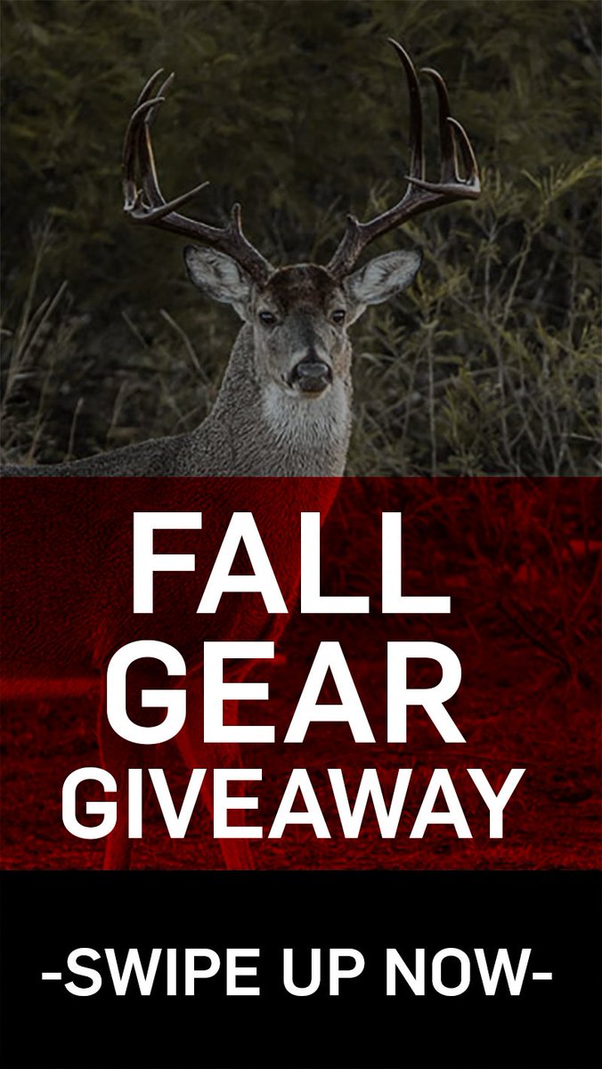 Did you enter the 10x10 giveaway? 10 winners will be selected to win bows, sights, rests or quivers. ngx.me/2KbIv3J