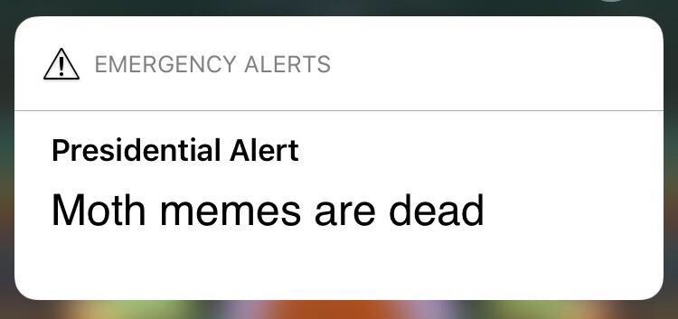 JamieBall4W's tweet image. #RIP @KnoxvilleMoths 😂#PresidentialAlertSystem