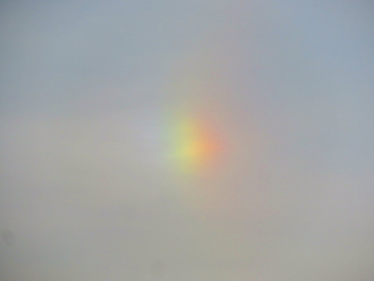 荒木健太郎 A Twitter 幻日でとる 虹色の幻日が朝の空で輝いています 幻日は太陽の左右に現れる光のスポット よく見ると太陽を中心とした光の 輪っかになってるハロと その上には上部タンジェントアークも 氷の雲と光が織りなす空の虹色です