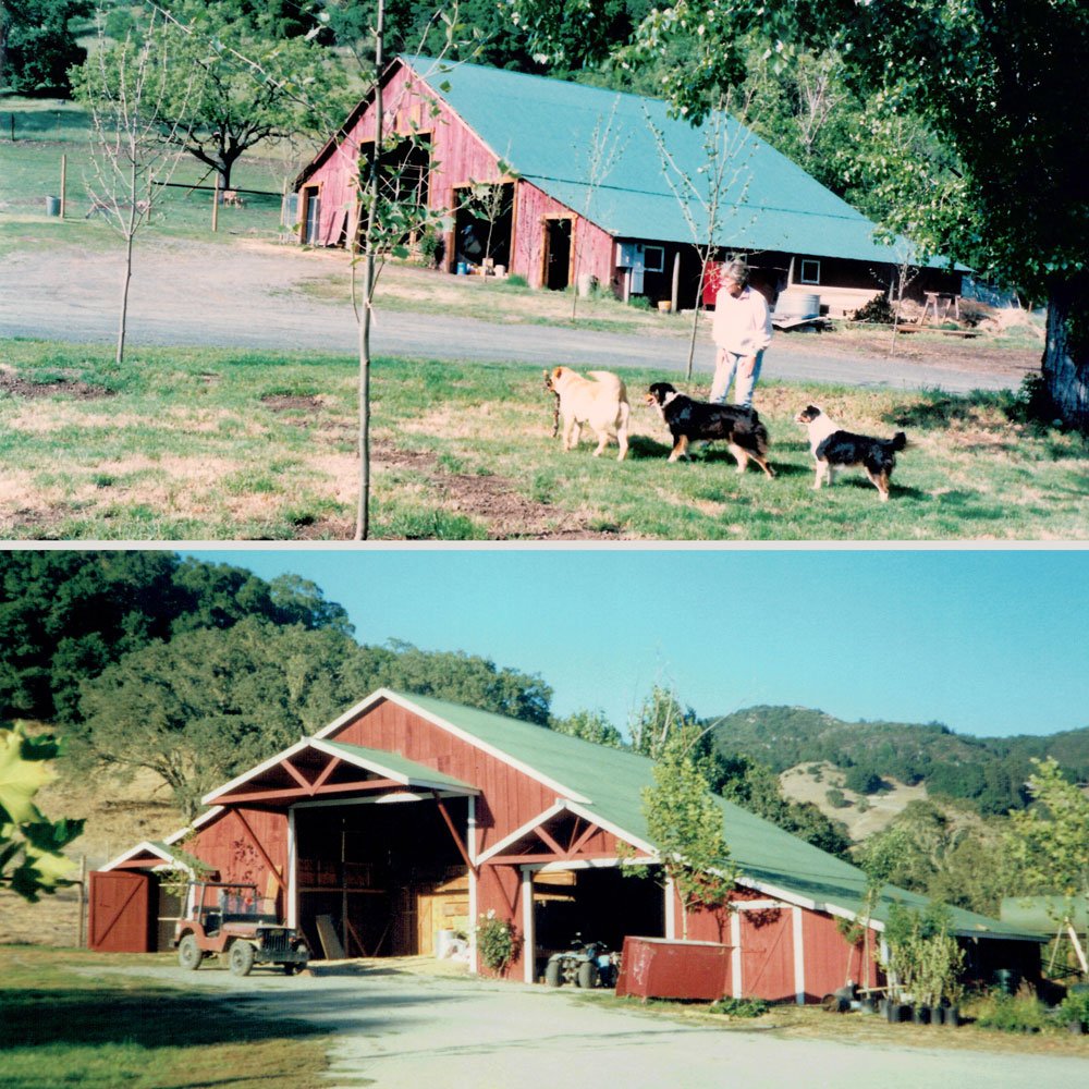 Safari West On Twitter Safari West Turns 25 Does That Old Barn