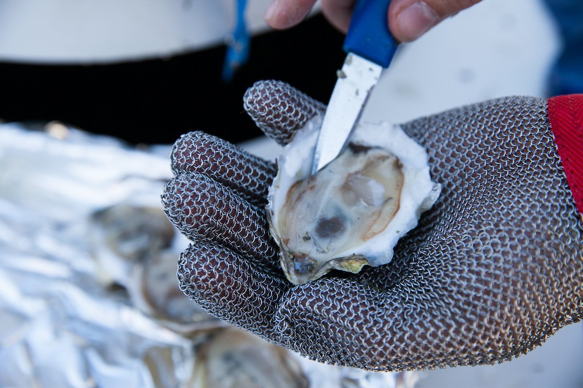 Shedd Aquarium (@shedd_aquarium) on Twitter photo Celebrate sustainable seafood with Shedd and <a href="/shellyfromshaws/">Shaw's Crab House</a> on October 10! Join us for an incredible five-course dinner as we kick off #NationalSeafoodMonth and @LettucEats' commitment to #SheddtheStraw. Grab your tickets: exploretock.com/shawscrabhouse… Celebrate sustainable seafood with Shedd and <a href="/shellyfromshaws/">Shaw's Crab House</a> on October 10! Join us for an incredible five-course dinner as we kick off #NationalSeafoodMonth and @LettucEats' commitment to #SheddtheStraw. Grab your tickets: exploretock.com/shawscrabhouse…
