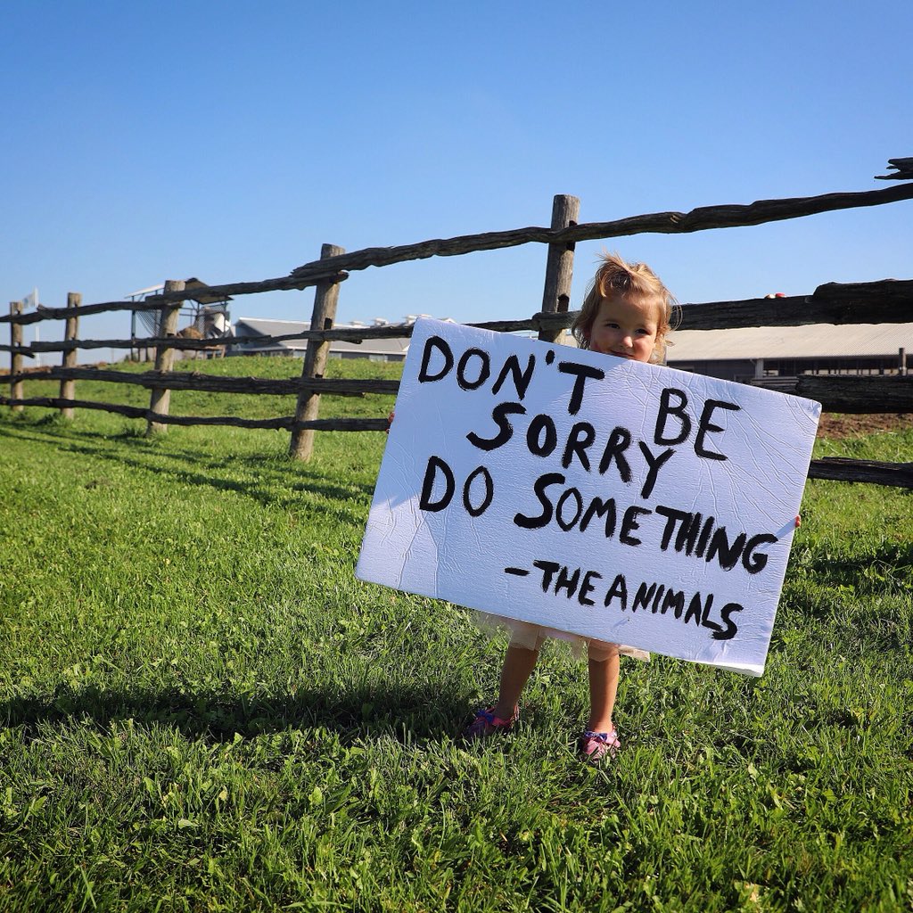 London Cow Save🇨🇦 tweet media