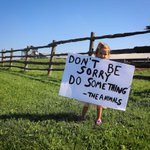Photo by London Cow Save🇨🇦 (@LondonCowSave)