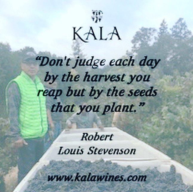 It is time for Wine Quote Wednesdays!  Join us each Wednesday for a different wine-themed quote. #kalawinery #wine #winery #redwine #winewednesday #winequotewednesdays #craftwine #wines #ilovewine #winequotes
#wednesdaywisdom