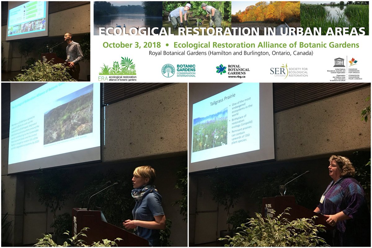 Inspiring #ERABG symposium today at <a href="/RBGCanada/">Royal Botanical Gardens</a> with a packed room of global restoration practitioners. Stories of science, progress, projects &amp; more work to be done. <a href="/bgci/">Botanic Gardens Conservation International</a> <a href="/SERestoration/">SERestoration</a>. Great work.