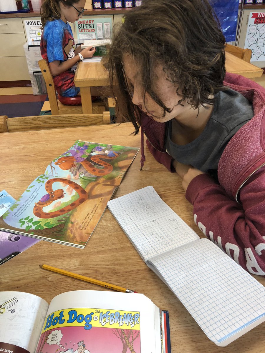 MrCastro112's tweet image. This is what #ReadingClass looks like!! Learning skills and applying them to our own independent reading. Look at them go in a variety of levels! @otmonarchs #112leads #ThingsAreHappening #ReadyGen
