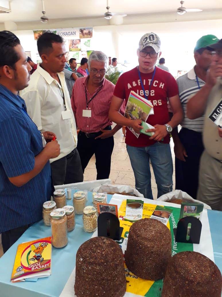 UNAnicaragua's tweet photo. La #UNANic participa en el III Congreso Internacional "Productividad, Calidad y Competitividad de la Ganadería Bovina Nicaragüense", que se realiza en el Best Western Hotel Las Mercedes Managua. Conoce más aquí: https://t.co/fpu7qpZ5Gg https://t.co/NuOBXbDV5R