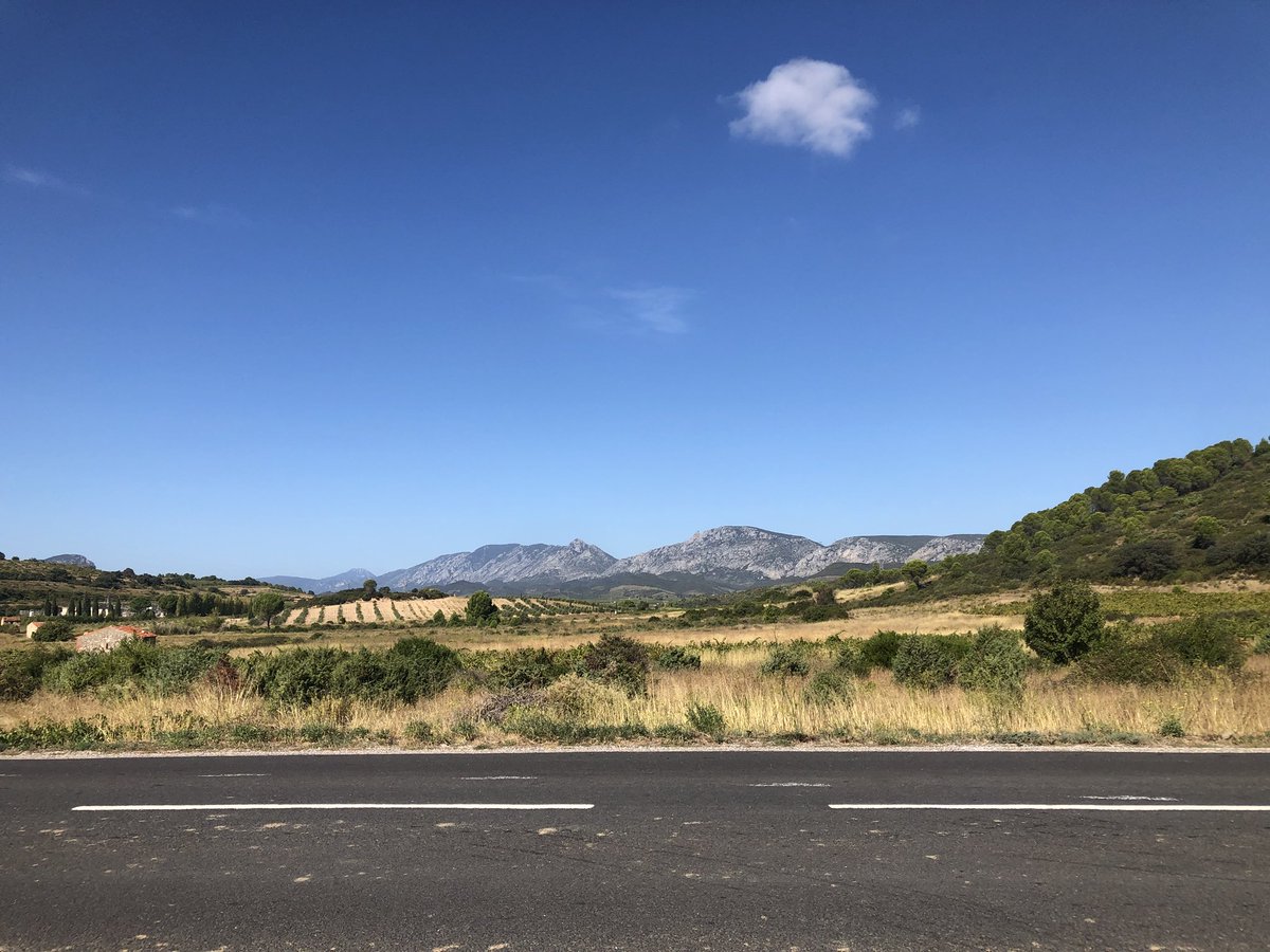 winecreation's tweet photo. Vintage in Estagel running late - ripening 2 weeks behind where we want it. #immortelle #roussillon #vineyardproductions #artisanwine https://t.co/nel3IXpuLl