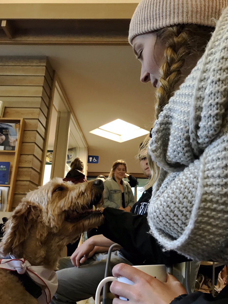 Malisa_Zhao's tweet photo. #petcafe The first dog always smiles and wants to kiss people. The second one has been helping kids with autism for three years. How lovely and sweet they are! https://t.co/7VNKgTB0LV