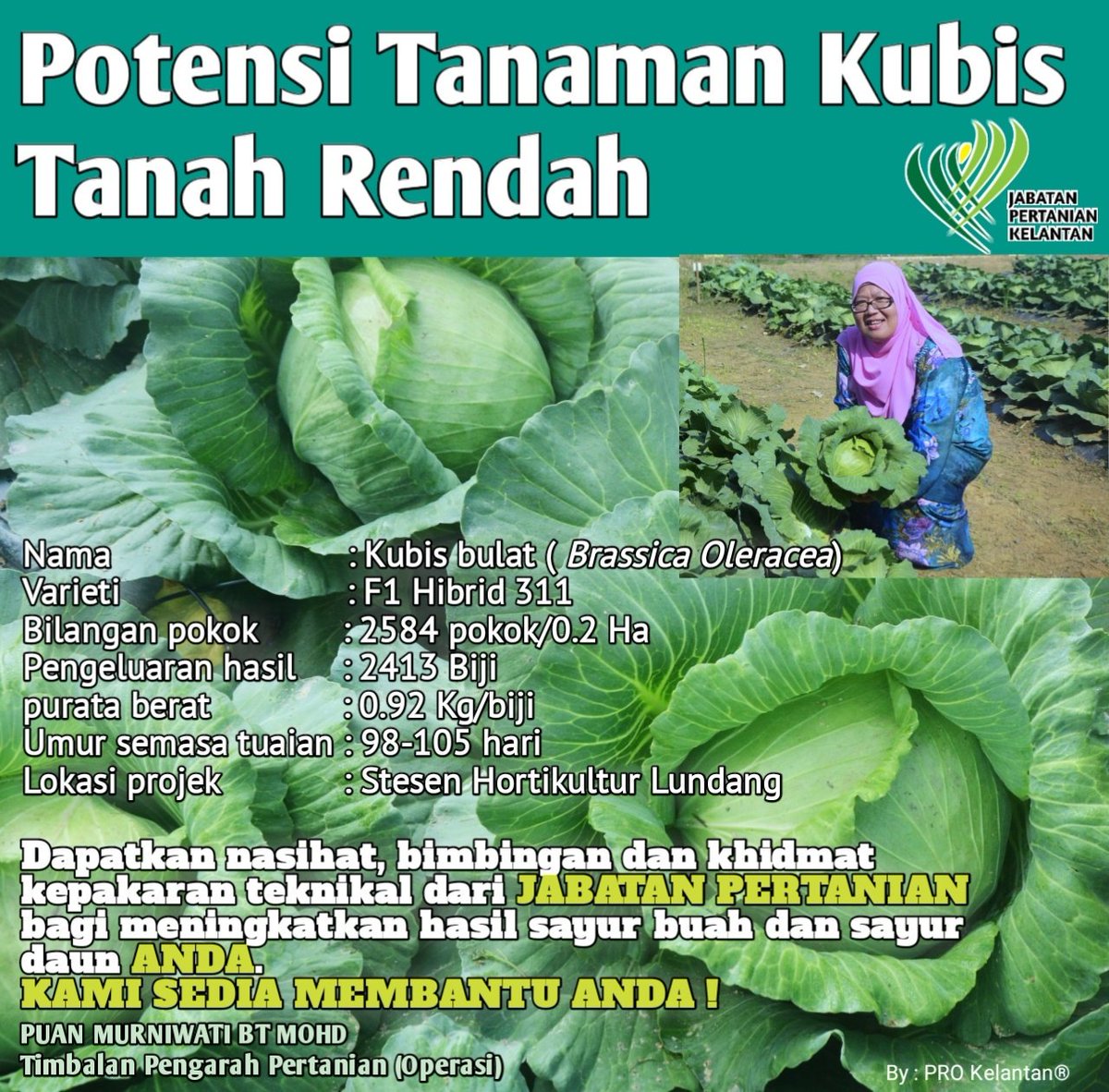 myDOA_Kelantan's tweet photo. Setiap tanaman makanan berpotensi untuk dibangunkan dengan kaedah dan cara yang betul. #ilovedoa #pertanianSumberRezeki #ourfoodourfuture @MyDSA_official @simtzetzin @msallehhuddin @bad5277 @norbahani @moaMalaysia @myDOA_HQ @JHarizan https://t.co/DajDT02JVS