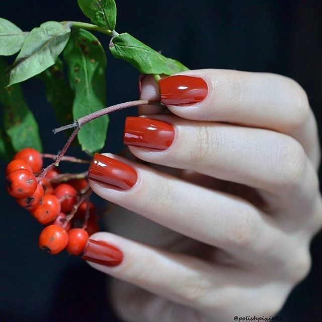 ScratchofSweden's tweet photo. Red Hot Chili ❤️ Try another shade of red #redhotchili ❤️ Nails: Emilia .
.
.
#rednails #vegan #friendlyformula #crueltyfree #nailpolish #nails #scratchnailsusa #scratchnailsgreece #scratchofsweden #naturalnails #colorful #fashion #friendsforever #co… https://t.co/mTkRLZmsEa https://t.co/3pjA7v2iCs