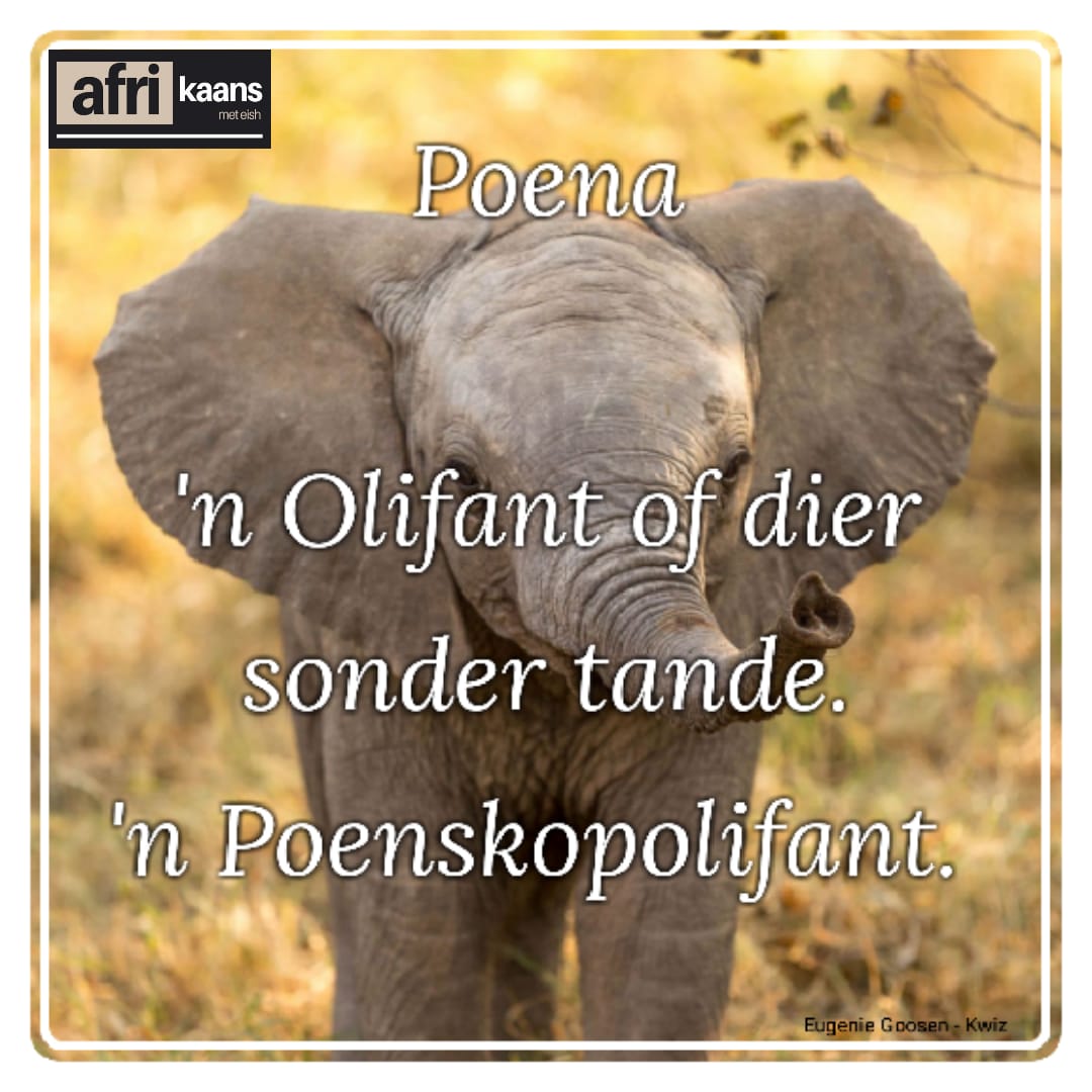Poena is ons woord vir vandag.. #afrikaans  #feit #literatuur
