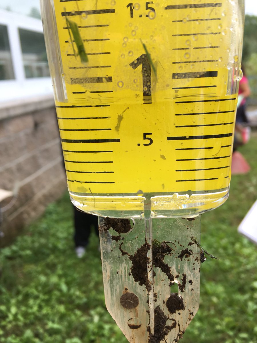 MissBrooten's tweet image. Last night’s storm brought over 0.8 inches of rain to the @BedwellSchool garden! 😲 #thirdgradescience
