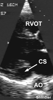Daniel Shindler tweet media