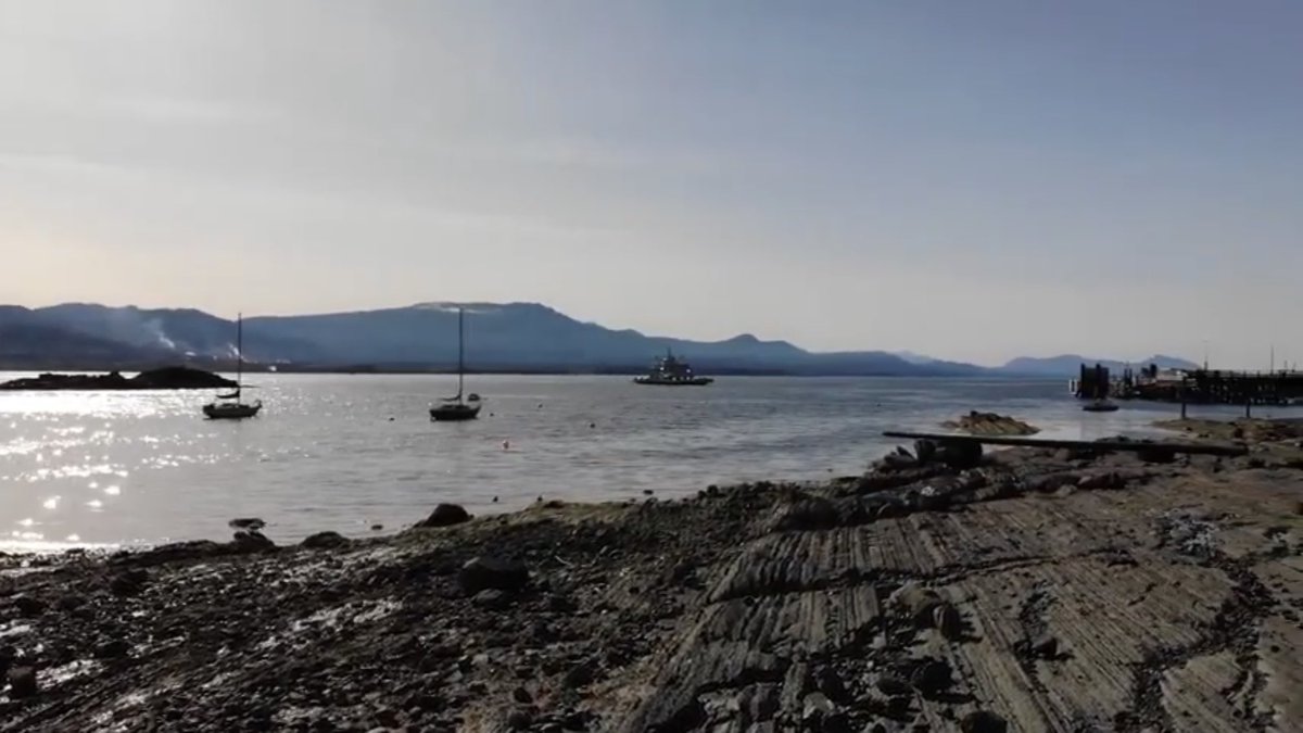SaltSpringGuide tweet picture