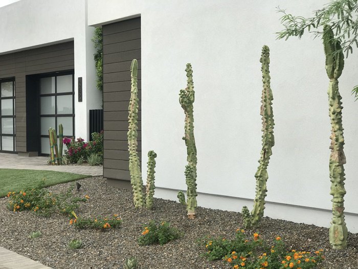 AzurePV's tweet photo. Enjoy front yard landscaping maintained by the HOA for your convenience. #lockandleave https://t.co/vx8KoiZaJW