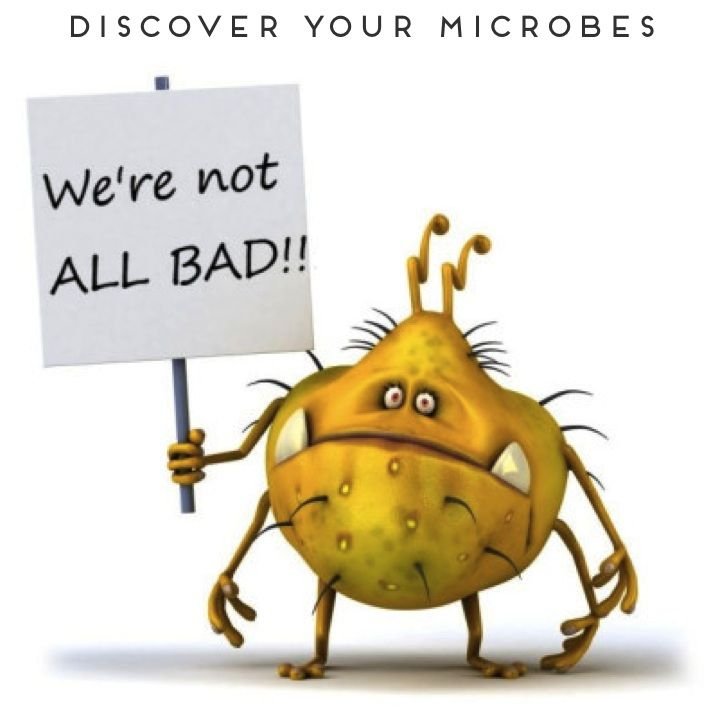 mcgraw2's tweet photo. Are we fighting pathogens, or are we fighting ourselves? The pathogens need a host to cause disease, so maybe we, humans are the problem? Instead of killing all pathogens and making them #pathogone, we need an alternative!! #bio350 @markowenmartin https://t.co/onzg7aJOZg