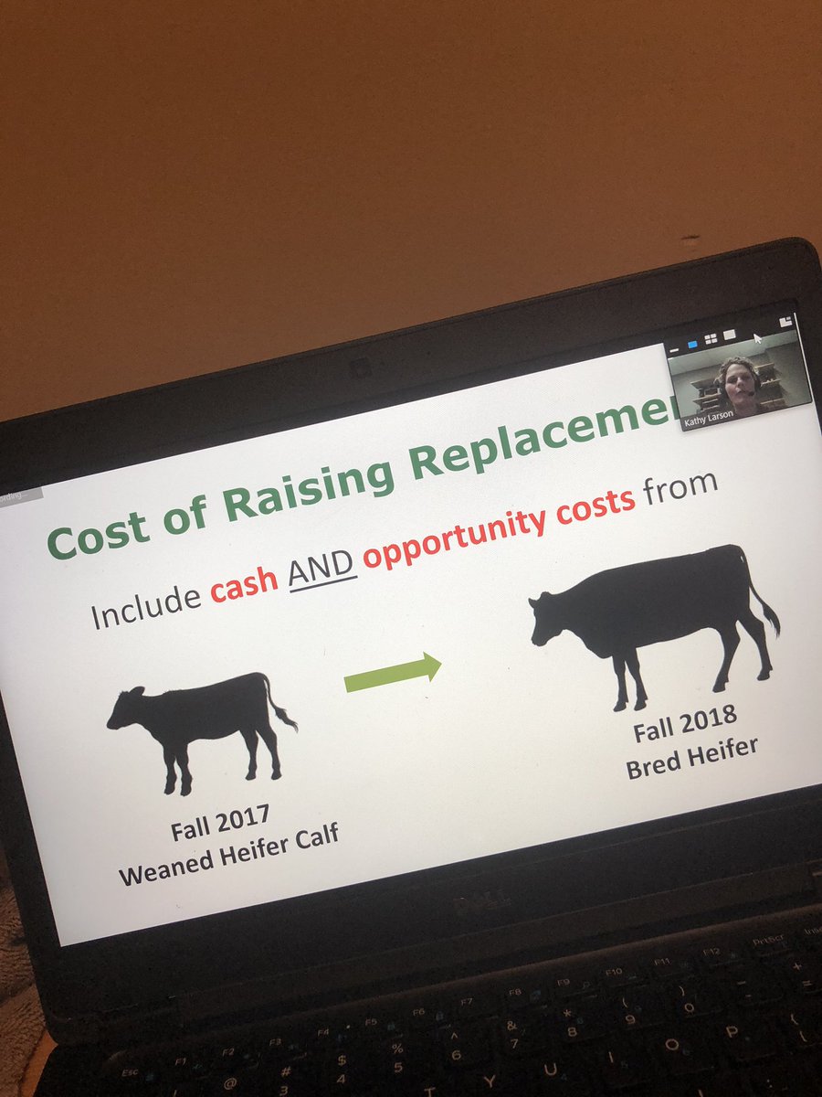On tonight’s #beefwebinar <a href="/kathy_a_larson/">Kathy Larson</a> reminds us that both cash and opportunity costs are important to take into consideration when deciding to buy or raise replacement heifers