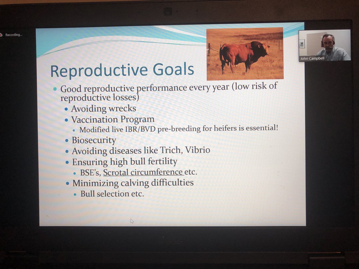 Many factors contribute to reproductive success in the beef herd #beefwebinar <a href="/drjcampbell/">John Campbell</a>