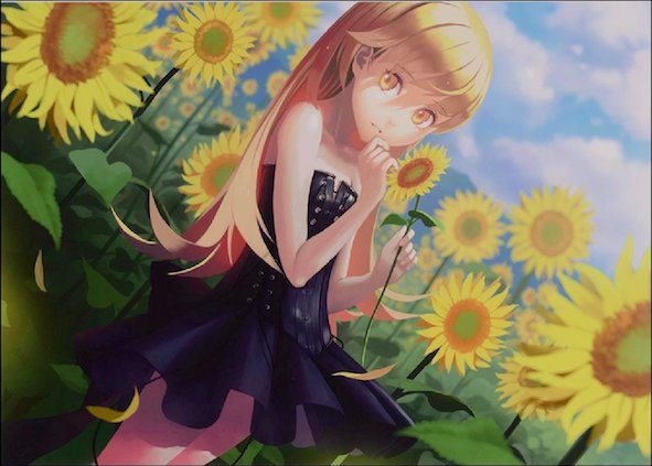 MonogatariFaves's tweet photo. Flower child🌻 https://t.co/pJ2lJJ09Au