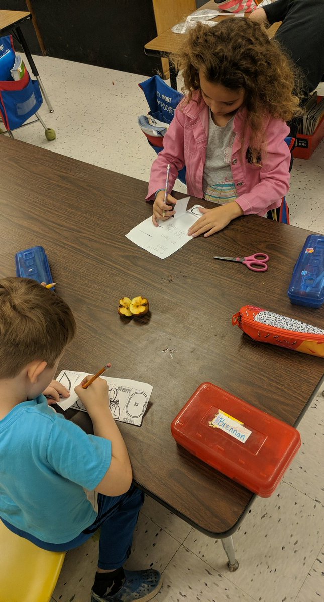 QueenShipley0's tweet photo. We have loved exploring and learning about fall plants! We've also been working hard on subtraction! #firsties #firstgraderocks @SCESWildcats https://t.co/Z1oPk4Cp6k