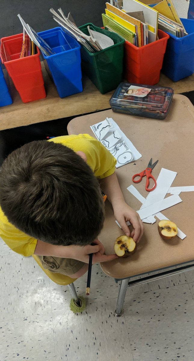 QueenShipley0's tweet photo. We have loved exploring and learning about fall plants! We've also been working hard on subtraction! #firsties #firstgraderocks @SCESWildcats https://t.co/Z1oPk4Cp6k