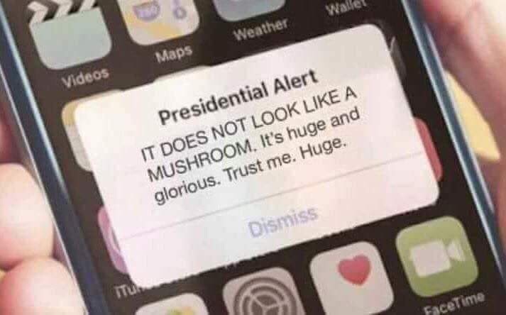 jhale667's tweet image. I’m telling you, the “No #Collusion!” text is coming... 😠#PresidentialAlertSystem