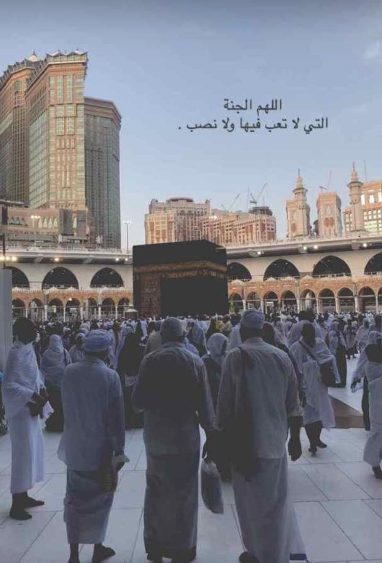 Do33a6 tweet picture