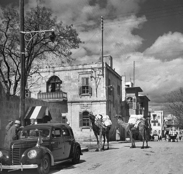 syria_throwback's tweet photo. Street scene, #Aleppo, Syria, 1940.
PC: Margaret Bourke-White https://t.co/ZDmZsWmtFU