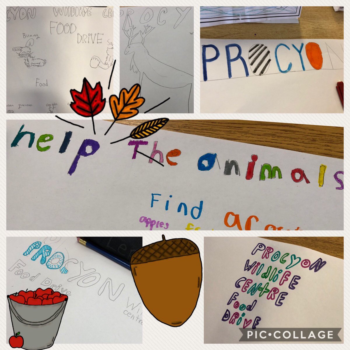 3kidzmum's tweet photo. At Thanksgiving, why not think of the injured and sick wildlife being rehabilitated at the Procyon Wildlife Centre in Beeton. @allistonunion grade 4s are collecting acorns, green pine cones, sumac, and windfall fruit for our wildlife food drive. #4throcks #procyonwildlifecentre https://t.co/wFXSCJIIms