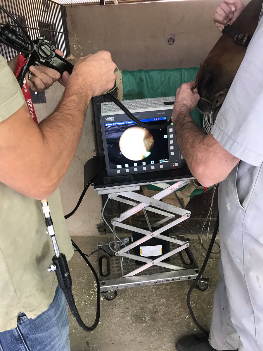 RandlabArg's tweet image. Endoscopia en Gral Rodriguez