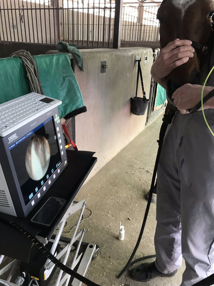 RandlabArg's tweet image. Endoscopia en Gral Rodriguez