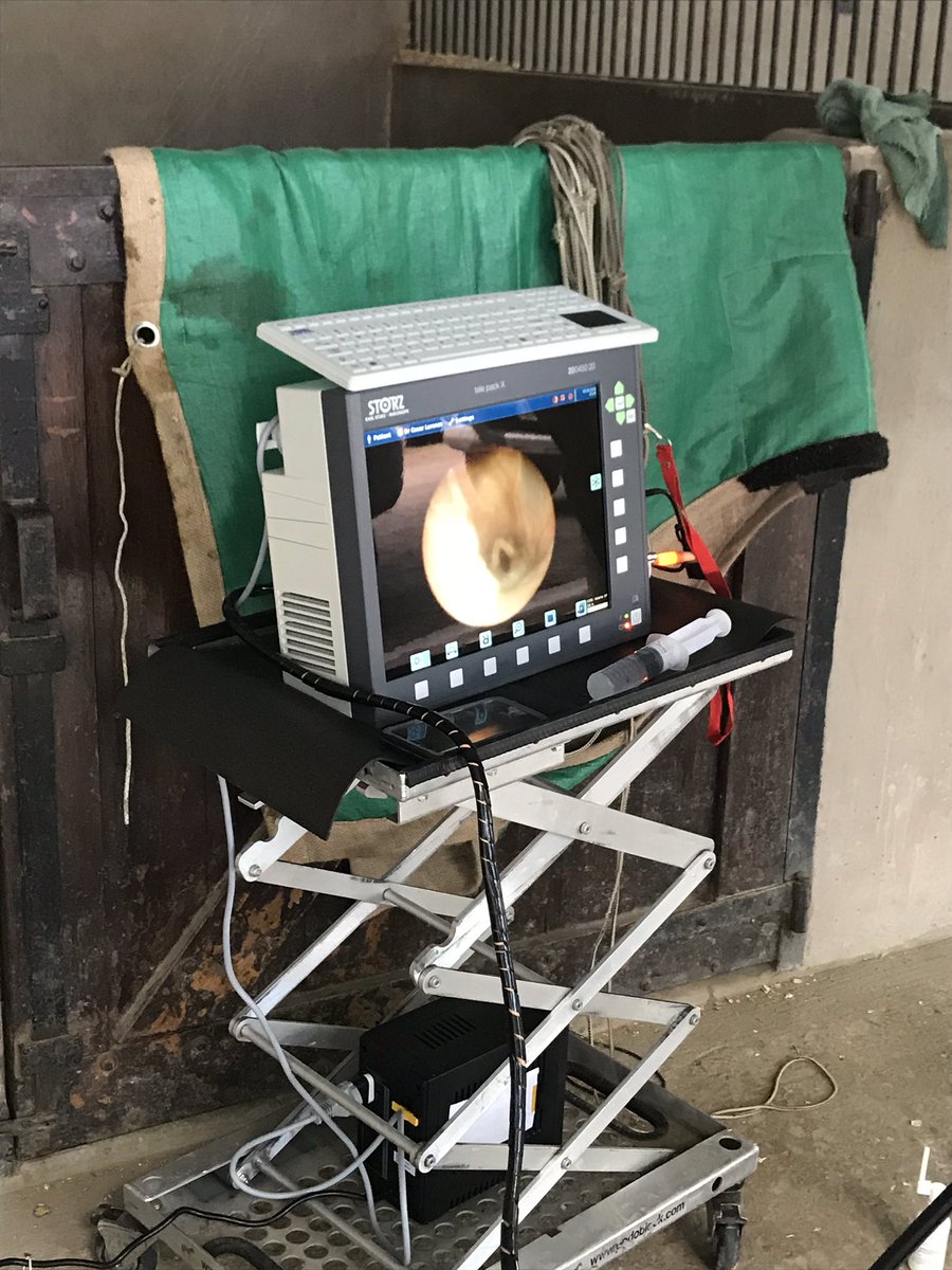 RandlabArg's tweet image. Endoscopia en Gral Rodriguez