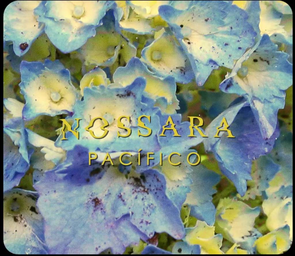 Shockedmusic's tweet photo. Desde las montañas de Alajuela: Nossara presenta “Pacífico” https://t.co/olKQXP0l26 https://t.co/0vSFLQ10Oj
