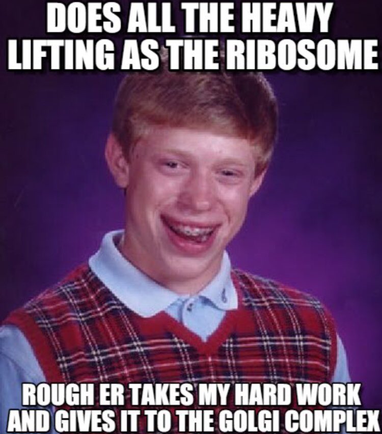 vote_ribo_2018's tweet photo. @RoughDayintheER and @golgi2018 are in collusion to profit off of others hard work! They are untrustworthy! Don’t vote rough er or golgi #VoteRibosome #OrganelleVote2018 #GootAPBio 👊🏻👏🏻 https://t.co/RLoBYRiqPj