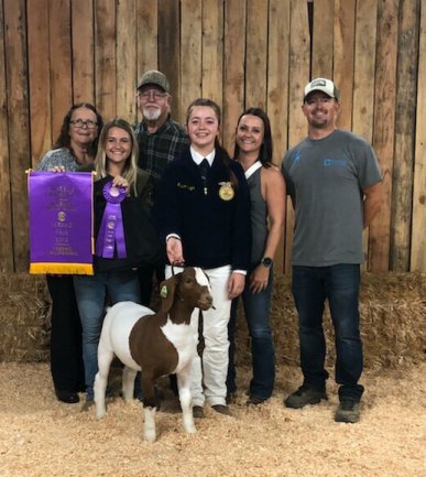 Congrats to Maddison Hargis for winning supreme champion tonight with her goat!! We're so proud of you :)