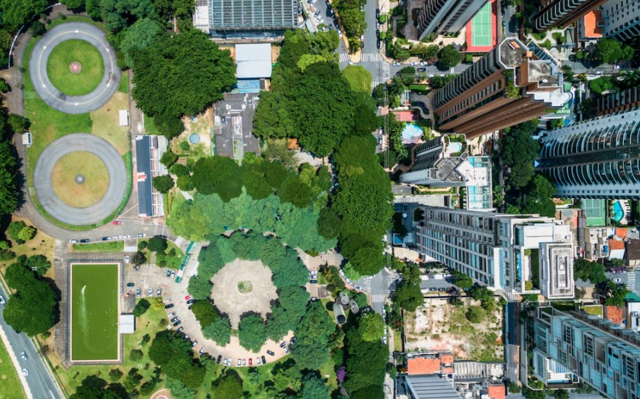 uommedia's tweet photo. Urban trees need protection as the heat rises. Solution - redirecting storm water. More on
Pursuit: https://t.co/kl64q3nPBX
Dr Chris Szota and Associate Professor Stephen Livesley from @SciMelb are available via media office, +613 8344 4123 or news@media.unimelb.edu.au https://t.co/vdmch1lFOh